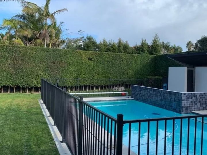 A tall hedge cut square and flat-topped along the back of a swimming pool enclosure