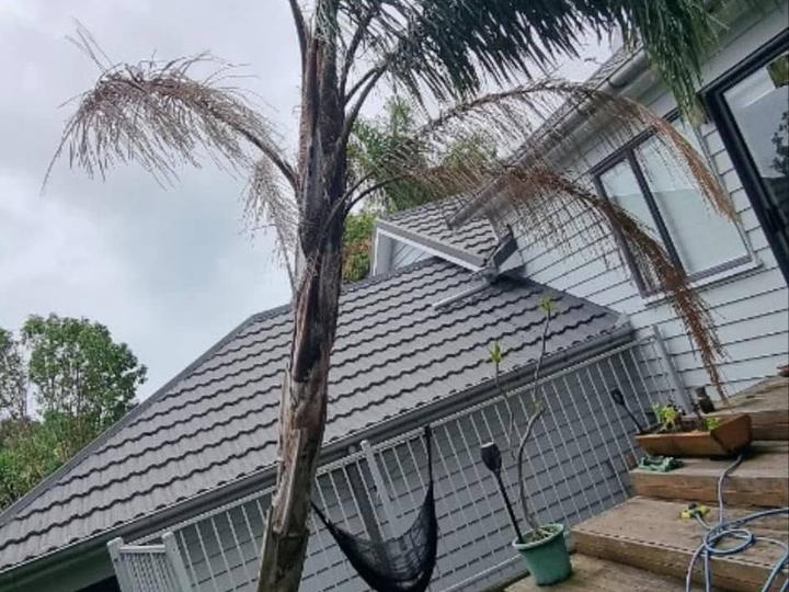 A palm leaning in towards a weatherboard house beside the deck steps