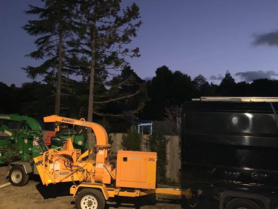 An orange Bandit wood chipper hitched to the truck at dusk, with pines silhouetted behind