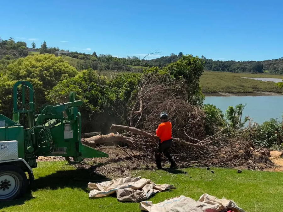 Arborist in an orange shirt and helmet dragging cut branches across a lawn to a green wood chipper, with an estuary and farmland behind under a clear blue sky