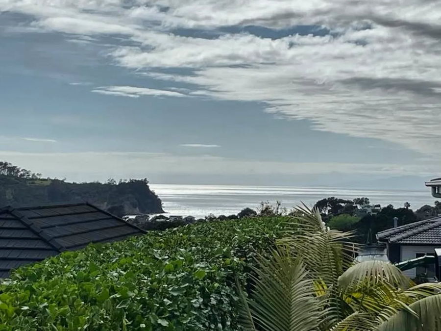 The flat, freshly trimmed top of a tall hedge beside a tiled roof, looking out to the sea and a headland