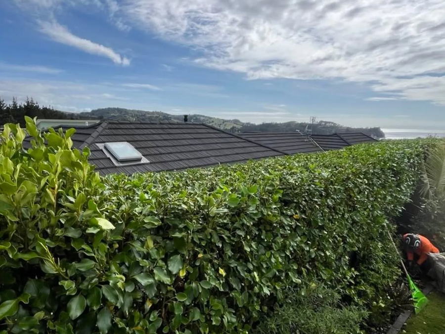 A long hedge trimmed level along the roofline of a house, with an arborist working at the far end