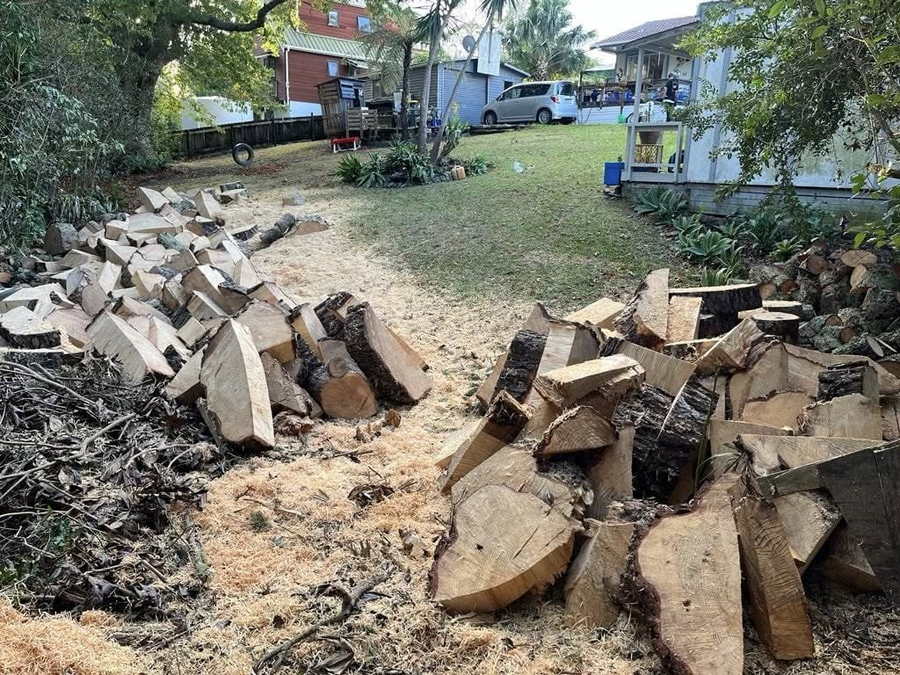 Rounds of cut timber stacked in rows across a lawn after a tree removal