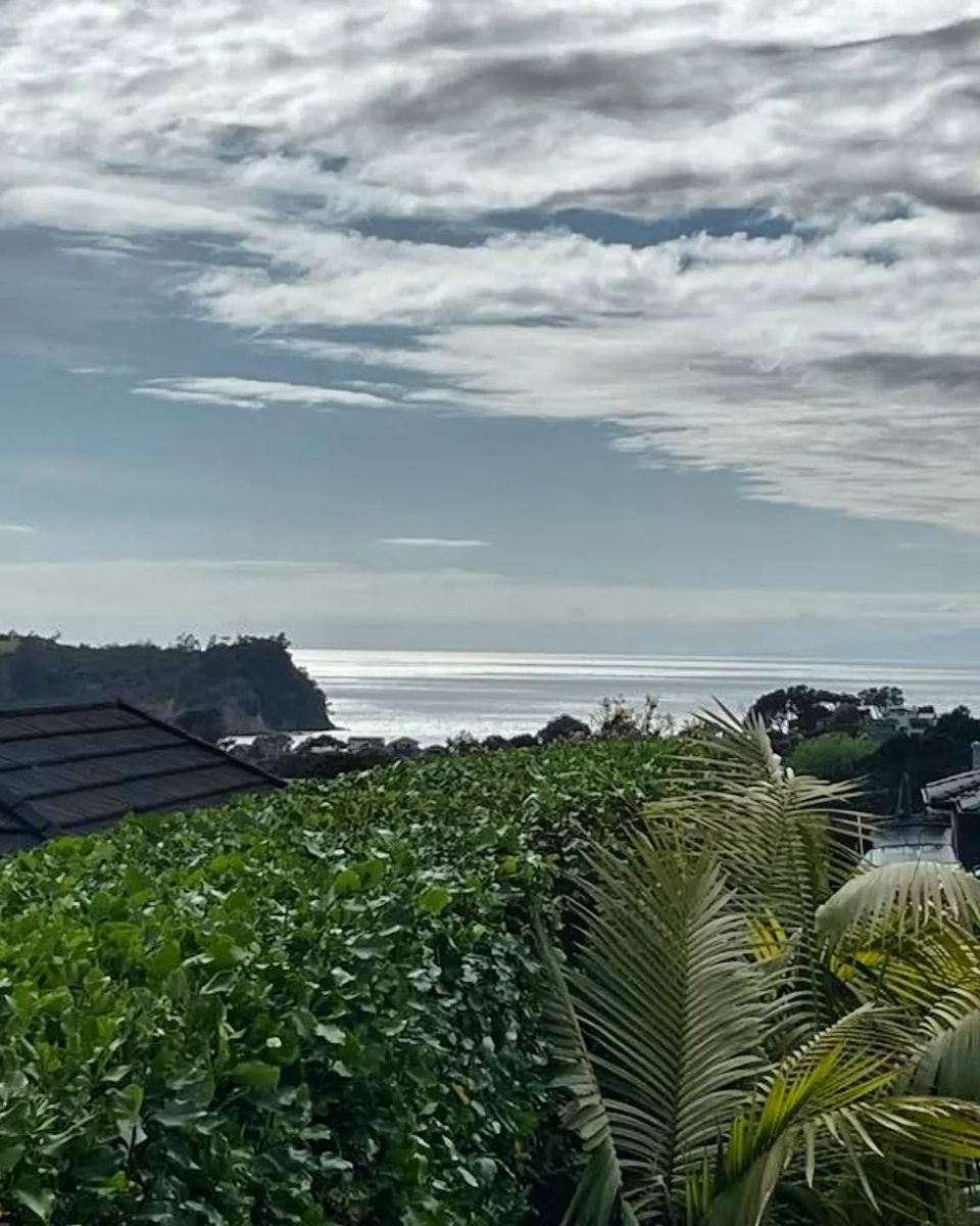 The flat, freshly trimmed top of a tall hedge beside a tiled roof, looking out to the sea and a headland