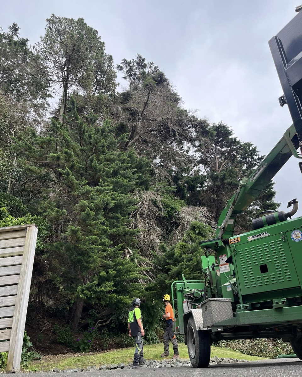 Two arborists in hi-vis beside a green truck-mounted chipper at the foot of a stand of tall conifers